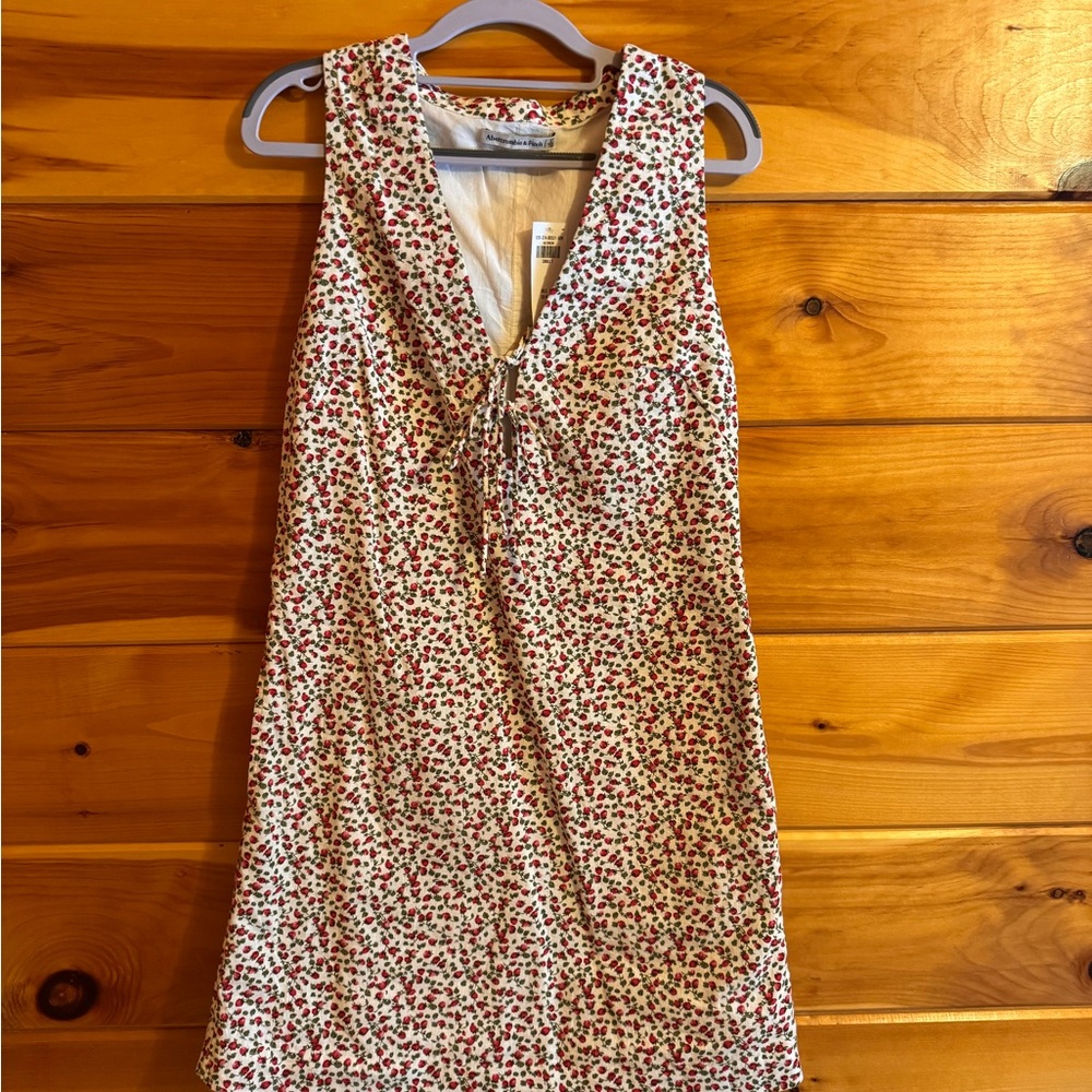 NWT Abercrombie & Fitch Red Floral Mini Dress